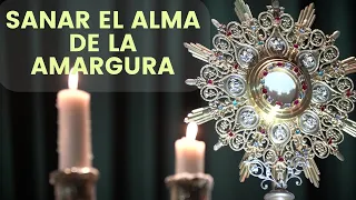 Sanar el alma de la amargura | Padre Pedro Justo Berrío