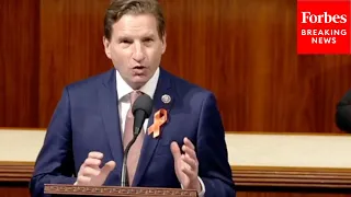 Dean Phillips Shares Message From Late GOP Lawmaker’s Widow Demanding Congress Ban AR-15s