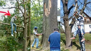 Funniest Tree Cutting Fails 14