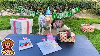 YoYo JR makes a birthday cake for Bebe goat