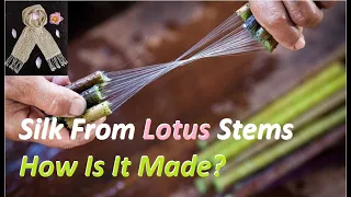 Lotus Silk From Vietnam - Why Is It So Expensive?
