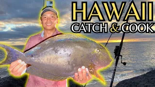 Surf Fishing (Dunking) in HAWAII | BIG PALANI (Surgeonfish) CATCH & COOK!