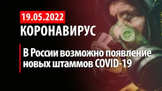 19 мая 2022. Новые штаммы в России. Статистика коронавируса в России на сегодня