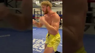 Logan Paul Training, Potential Fight Coming Up?