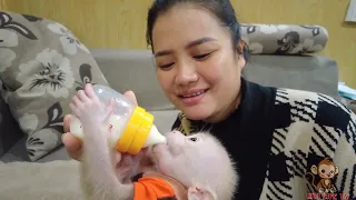 Single Mom needs medical advice to treat Kiti monkey's hyperactivity