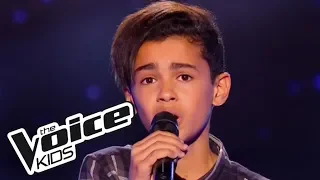 L’ oiseau - B.O. de Belle et Sébastien | Ayoub | The Voice Kids 2016 | Blind Audition