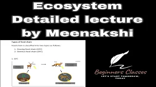 Ecosystem and its component | Food chain and Food web | by Meenakshi mam | jkssb | jkpsc|ssc|FAA VLW