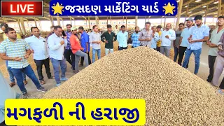 🔴live મગફળી ની હરાજી in jasdan APMC,May 8, 2024