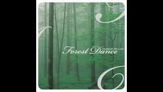 Colors Of The Land - Forest Dance - Dan Siegel [Full Album]