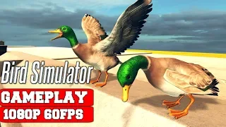 Bird Simulator Gameplay (PC)