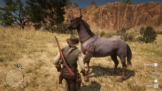 Red Dead Redemption 2 Horses - Nokota