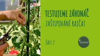 část 2 | ZAŠTIPOVÁNÍ RAJČAT | TESTUJEME ZÁHONÁČ