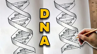 DNA Helix Diagram Drawing