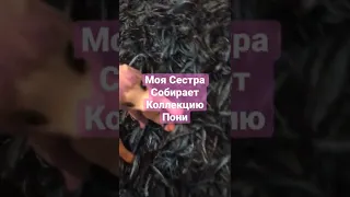 Коллекция Пони