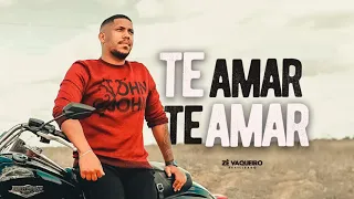 Te Amar Te Amar - Zé Vaqueiro Estilizado - Cd Novo 2020