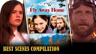 FLY AWAY HOME | Most Iconic Scenes | Hollywood Movie Scenes