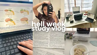 cramming 350 report slides for midterms hell week 😭 study vlog