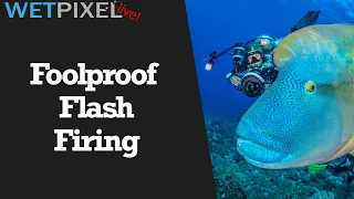 Foolproof Flash Firing for Underwater Photographers