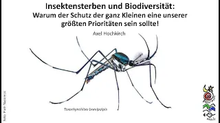 Insektensterben und Biodiversität - Konferenz vom 17.04.2024 mit Dr. Axel Hochkirch