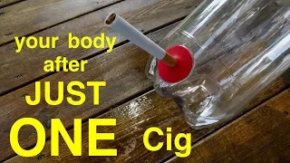 How Smoking Just 1 CIGARETTE Affects Your Lungs ●  You Must See This !