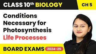 Conditions Necessary for Photosynthesis - Life Processes | Class 10 Biology Chapter 5 | CBSE 2024-25