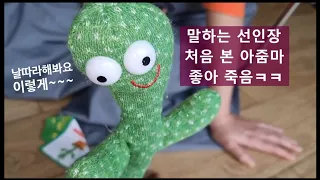 알리 천원마트 추천 선인장 인형 알리익스프레스 추천템