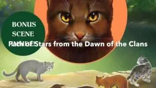 My top 5 favorite books from the warrior cats series