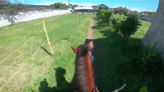 Horseback Archery Training | Baitur Rohmah Stable | ZamZamy