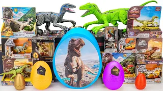 Jurassic World Unboxing Review | RC Raptor, Dinosaur Eggs, Black Venom Dinosaur,  Pteranodon | ASMR