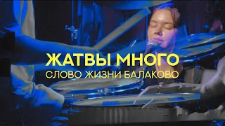 Слово Жизни Балаково | Эльвира Короткова | - Жатвы много (LIVE) / Слово Жизни Москва