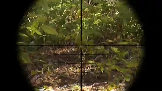 2017.09.16 Harnekop Sniper Aktion mit Scope Cam
