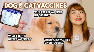 VACCINES for DOGS & CATS (What You Need to Know!) | Arah Virtucio