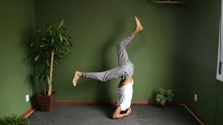 Prática de Yoga para Iniciantes | Carlo Guaragna - Prána Yoga