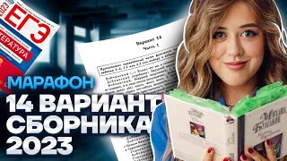 Разбор 14 варианта сборника Зинина | МАРАФОН ЕГЭ ПО ЛИТЕРАТУРЕ