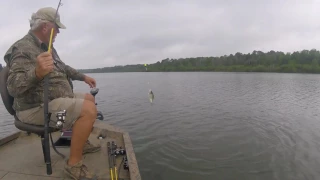 "How to Locate & Catch Crappie" - #crappie #Lowrance #Ranger #fishing #SamRayburn #minnows