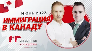 Новости иммиграции в Канаду. Июнь 2023 | Сергей Игнатьев, RCIC. Polar Bear Immigration