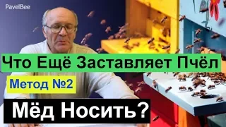 №118 Что ещё Заставляет Пчёл Мёд Носить? |Медосбор | Пчелиные улья | Взяток  Пчеловодство