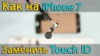 iPhone 7 Замена кнопки Home