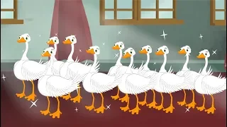 Les Cygnes sauvages  | dessin animé en français | Conte pour enfants avec les P'tits Z'amis