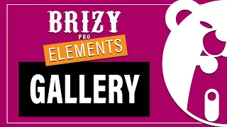Brizy PRO Elements | Gallery