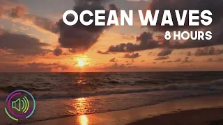 Ocean Waves with Seagulls Nature Beach Sounds for Sleep and Study | 8 Hours