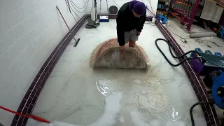 Oval Chinese super wash rug cleaning  Timelapse