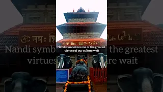 Do you know y Nandi👌 is placed Opposite the shivling👈👌#mahadev #youtubeshorts #viralshorts #trending