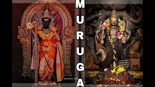 Tamil murugan whatsapp status || top 2 tamil kadavul murugan full screen status video