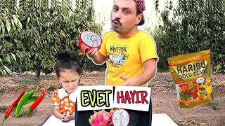 YES NO CHALLENGE! TİKTOK OYUNLARI! YEMEK YARIŞMASI