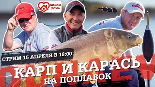 Карп и карась на поплавок. Ловля карпа и карася на поплавочную удочку