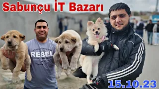 Sabunçu İT Bazarı. 15 oktyabr 2023. @mubarizemintv2271