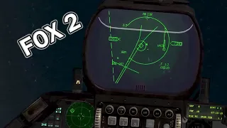 Falcon BMS - Always Help Your Wingman