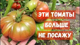 ХУДШИЕ СОРТА ТОМАТОВ в 2023, БОЛЬШЕ НИКОГДА ИХ НЕ ПОСАЖУ!