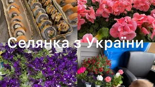 НАВЧАЮ ЇЗДИТИ СЕСТРУ, СУШІ КУРС, КУПИЛА КВІТОЧКИ